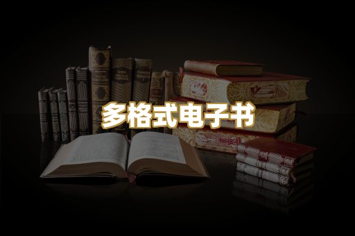多格式电子书